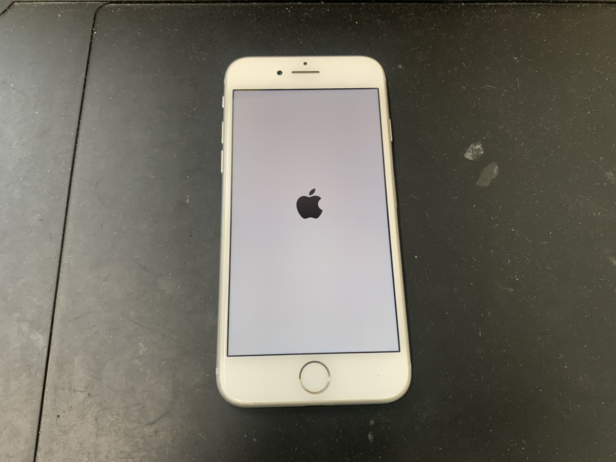 リンゴループになったiPhone8
