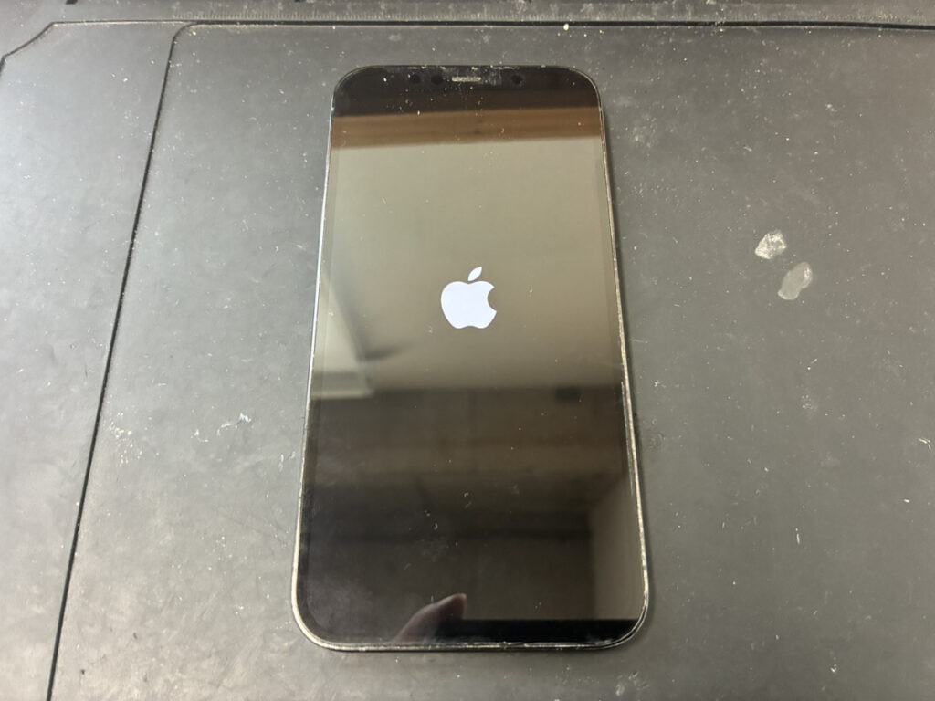 リンゴループになったiPhone12Pro