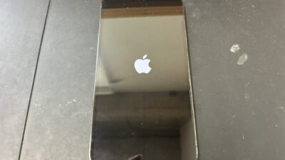 水没によってリンゴループになったiPhone12Proの復旧修理