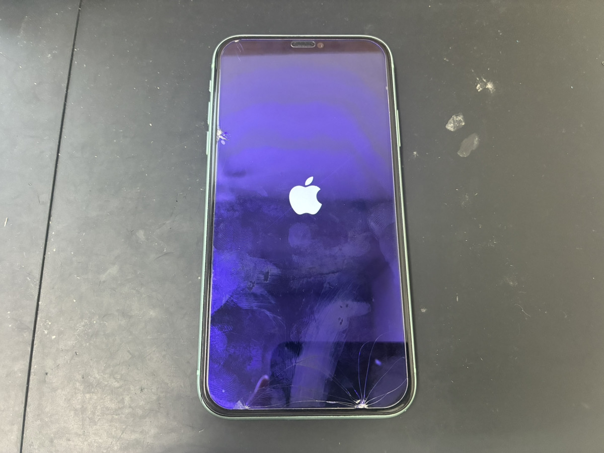 リンゴループになったiPhone11